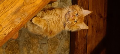 20201211 080731 resized